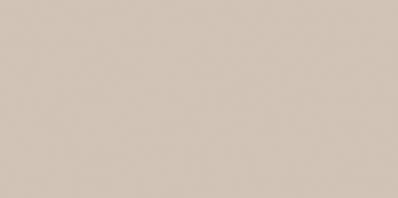 COLOR ONE WAAMB108 RAL0508010 20x40 MATOWA