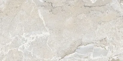 VILROY LIGHT GREY MATT BRUSHED RECT 59,8X119,8 G1