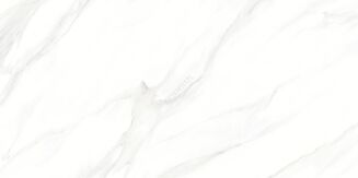 LARIVE WHITE POLISHED RECT 60X120 - 2