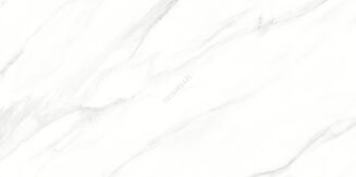 LARIVE WHITE POLISHED RECT 60X120 - 3