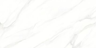 LARIVE WHITE POLISHED RECT 60X120