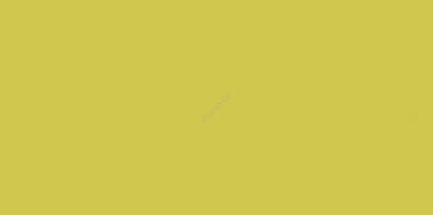 COLOR ONE WAAMB454 RAL0958070 20x40 POŁYSK