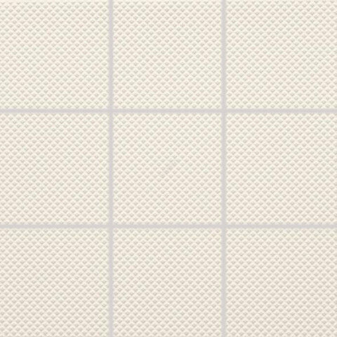 COLOR TWO GRS0K607 RAL0709010 10x10 R10/B G.1