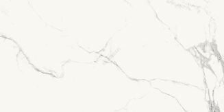 TILLITA STATUARIO WHITE POLISHED RECT 60X120 - 3