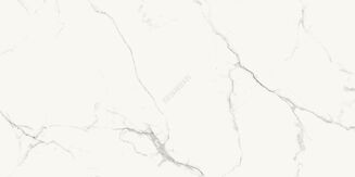 TILLITA STATUARIO WHITE POLISHED RECT 60X120 - 5