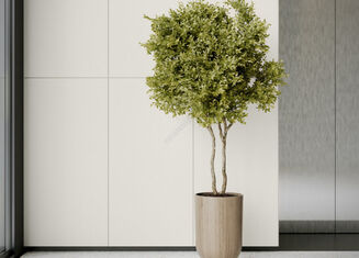 MONOLIGHT WHITE RECT. 59,7x119,7x0,95 - 4