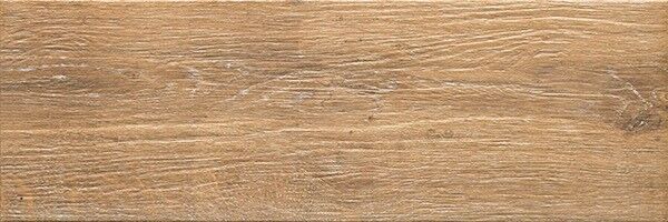 ALBERON UMBRA ALR 05 GRES DREWNOPODOBNY 20x60