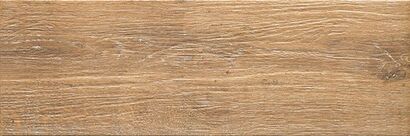 ALBERON UMBRA ALR 05 GRES DREWNOPODOBNY 20x60