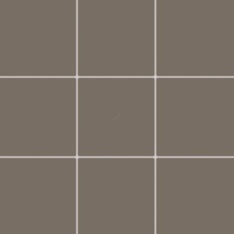 COLOR TWO GAA0K313 RAL0805010 10x10 mat G.1