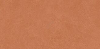 VIDAL TERRACOTTA SATIN RECT 29,8X59,8 - 2