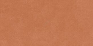 VIDAL TERRACOTTA SATIN RECT 29,8X59,8 - 7
