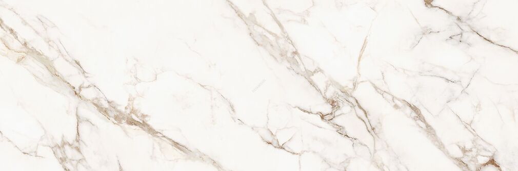 CALACATTA FEVER WHITE GLOSSY RECT 39,8X119,8