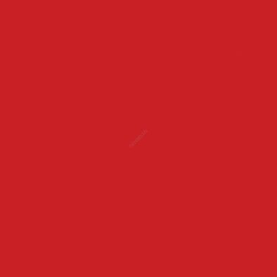 COLOR ONE WAA1N373 RAL0304060 20x20 MATOWA