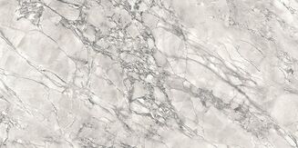 BENITE GREY POLISHED RECT 60X120 - 4