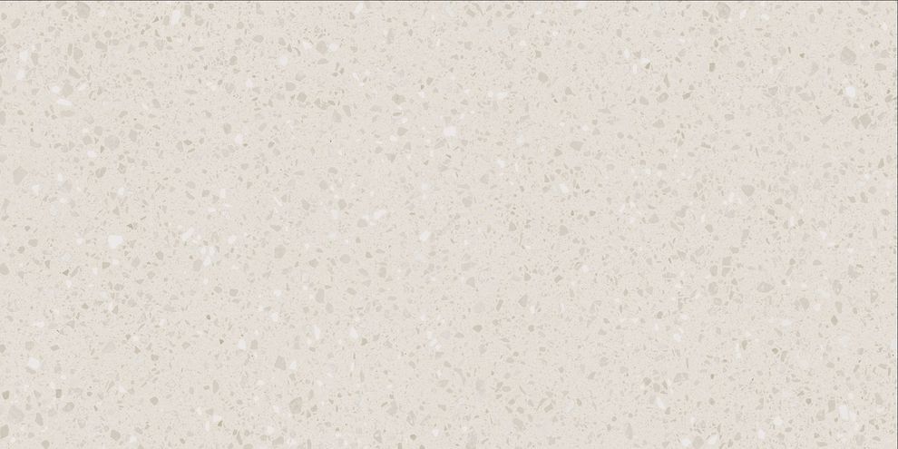 PORFIDO DASV9813 GRES REKTYFIKOWANY 60X120