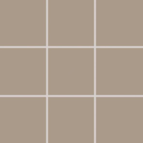 COLOR TWO GAA0K312 RAL060701010x10 mat G.1