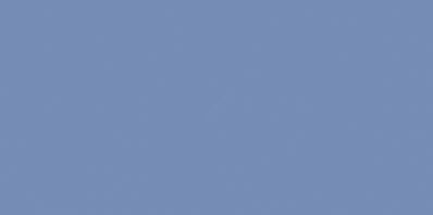 COLOR ONE WAAMB541 RAL2606025 20x40 MATOWA