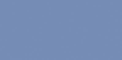 COLOR ONE WAAMB541 RAL2606025 20x40 MATOWA