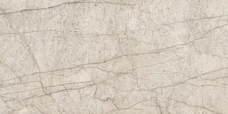 LIPIRIO GREY POLISHED RECT 60X120 - 4