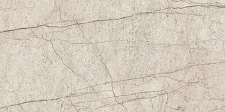 LIPIRIO GREY POLISHED RECT 60X120 - 5