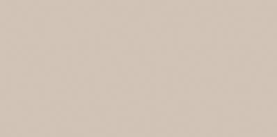 COLOR ONE WAAMB008 RAL0508010 20x40 POŁYSK