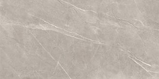 VETICANO GREY POLISHED RECT 60X120 - 2