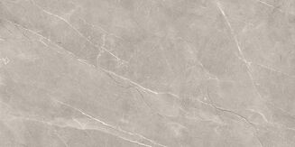 VETICANO GREY POLISHED RECT 60X120 - 5