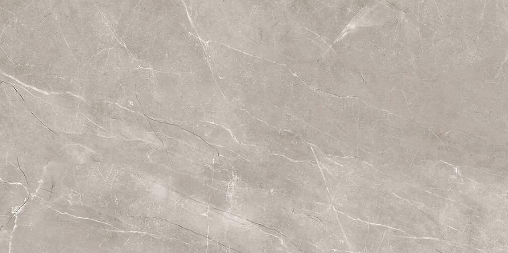 VETICANO GREY POLISHED RECT 60X120