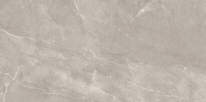 VETICANO GREY POLISHED RECT 60X120