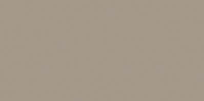 COLOR ONE WAAMB312 RAL0607010 20x40 MATOWA