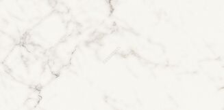 SILVER WISH WHITE SATIN RECT 29,8X59,8 G1 - 2