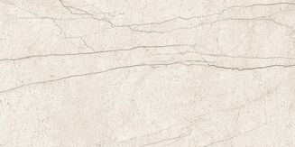 LIPIRIO LIGHT GREY POLISHED RECT 60X120 - 2