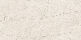 LIPIRIO LIGHT GREY POLISHED RECT 60X120 - 3