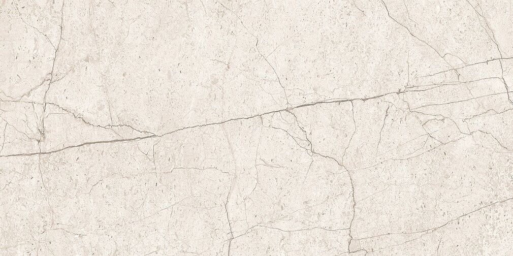 LIPIRIO LIGHT GREY POLISHED RECT 60X120