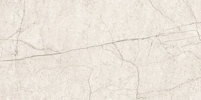 LIPIRIO LIGHT GREY POLISHED RECT 60X120