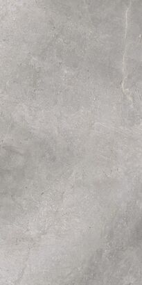 MASTERSTONE SILVER POLER 59,7x119,7