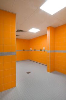 COLOR ONE WAA1N460 RAL0506080 20x20 MATOWA - 2