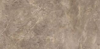 RUSH BROWN RECT. 59,7X119,7 - 6