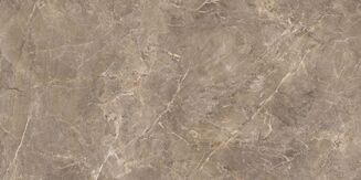 RUSH BROWN RECT. 59,7X119,7 - 3