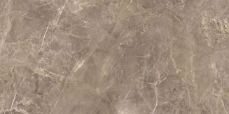 RUSH BROWN RECT. 59,7X119,7 - 2