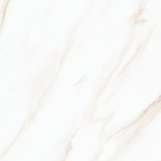 LARIVE BEIGE POLISHED RECT 60X60 - 2