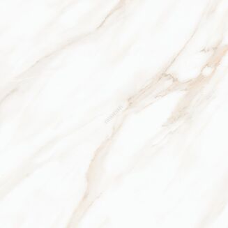 LARIVE BEIGE POLISHED RECT 60X60 - 4