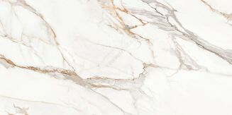 CALACATTA ARIATTA WHITE POLISHED RECT 60X120 - 2