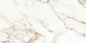 CALACATTA ARIATTA WHITE POLISHED RECT 60X120 - 3