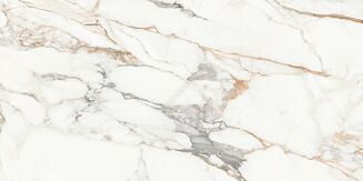 CALACATTA ARIATTA WHITE POLISHED RECT 60X120 - 4