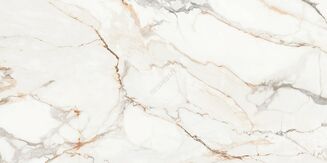 CALACATTA ARIATTA WHITE POLISHED RECT 60X120 - 5