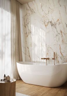 CALACATTA ARIATTA WHITE POLISHED RECT 60X120 - 7