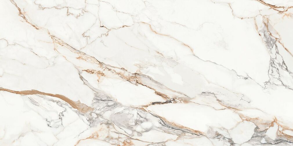 CALACATTA ARIATTA WHITE POLISHED RECT 60X120