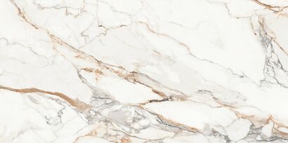 CALACATTA ARIATTA WHITE POLISHED RECT 60X120