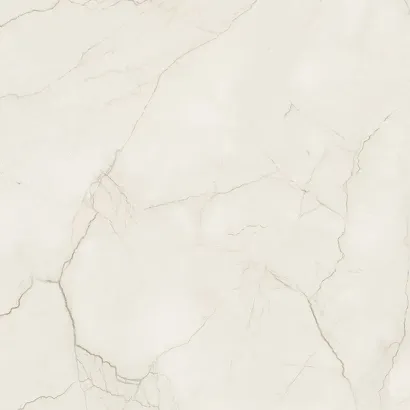 ARCADIA STONE SILVER POLISHED MATT RECT 119,8X119,8 G1
